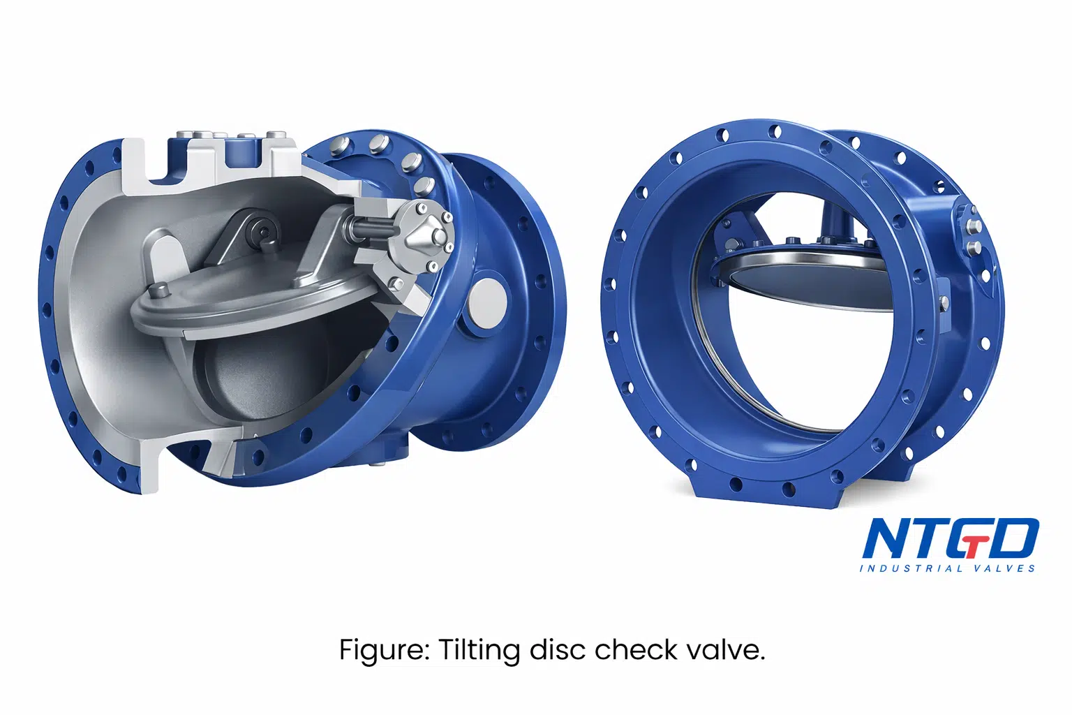 Tilting Disk Check Valve - تصویر 3